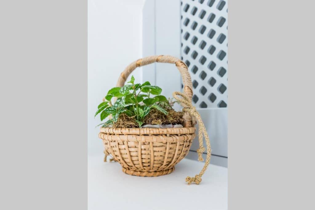 Myrtia House Skopelos エクステリア 写真